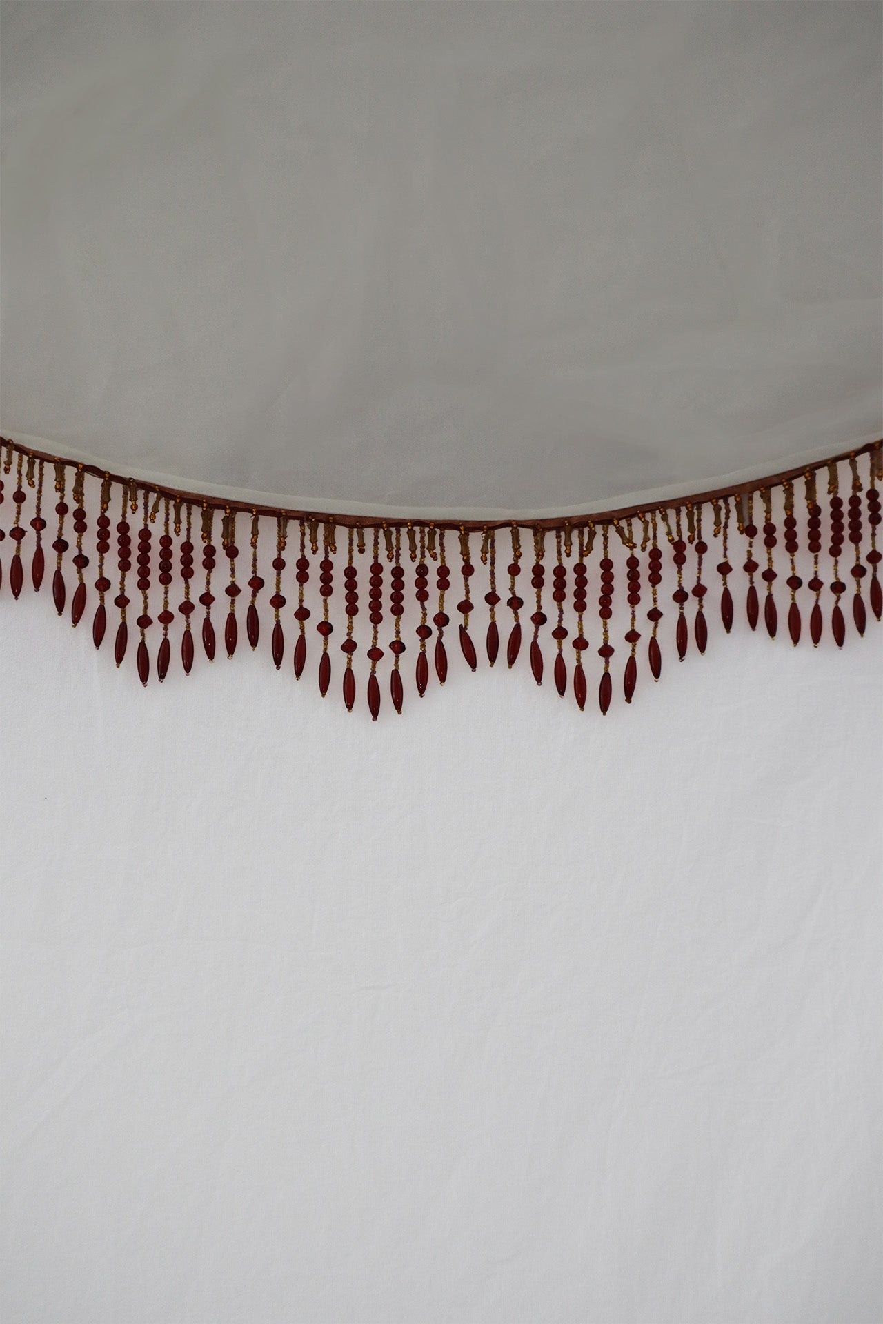 Brain Coral Veil